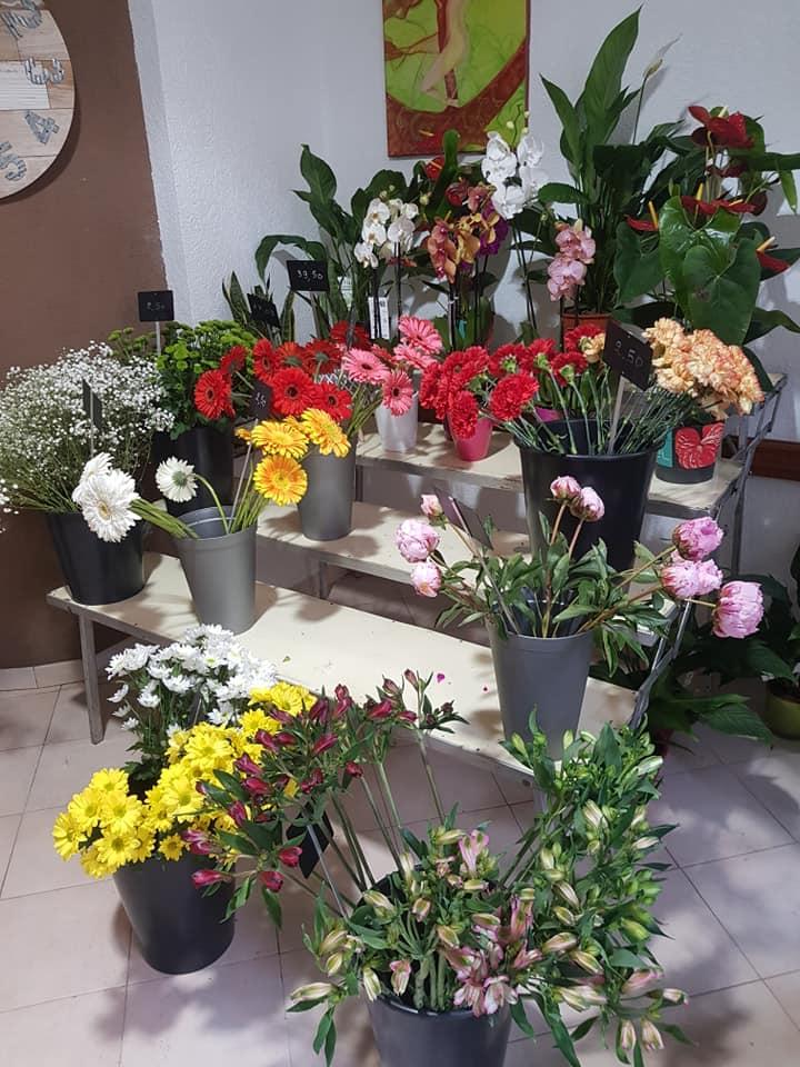 La-Palette-des-Couleurs-Fleuristes-à-Portiragnes-compoqitions